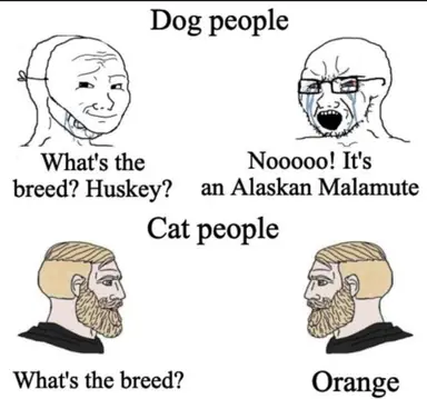 unknown.png