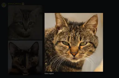 unknown.png