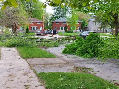 20220522_164117.jpg