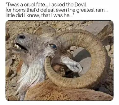 45330458_10157631079202289_2378723763798671360_n.png