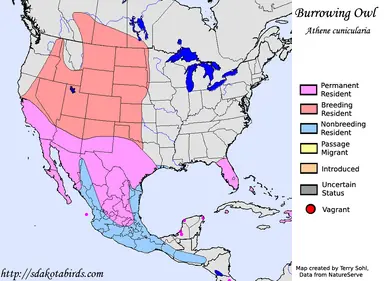 burrowing_owl_map_big.png