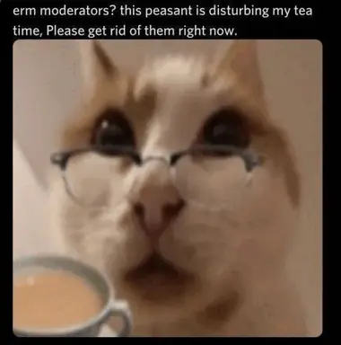 15738728-974E-4430-AD00-67F853A64428.gif