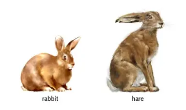 unknown.png