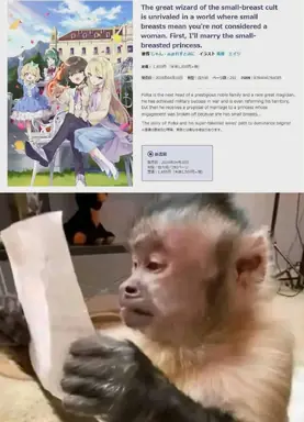 HC5YvIBbEAENmiz.png