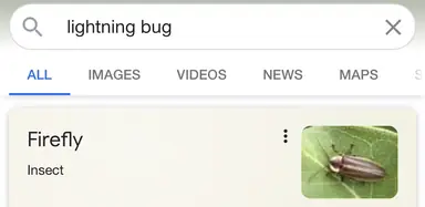 image0.png