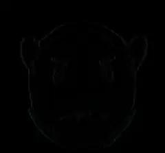 unknown.png
