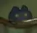 image-545.png