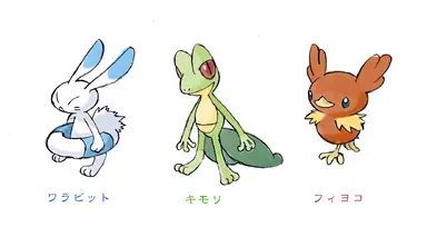 starter3.jpg