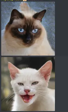 unknown.png
