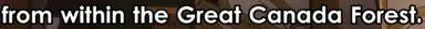 unknown.png