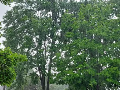 20210629_141839.jpg