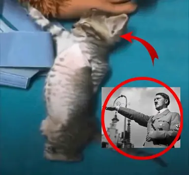 1744120057551396.png