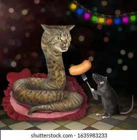 beige-cat-snake-lying-on-260nw-1635983233.png