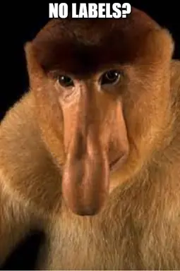unknown.png
