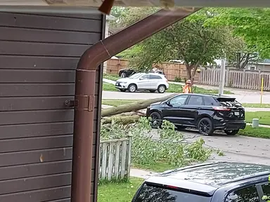 20220522_171420.jpg