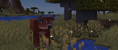 25w05a201170x500.png