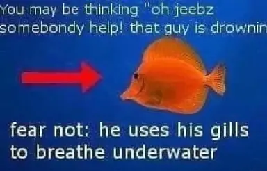 unknown-71.png