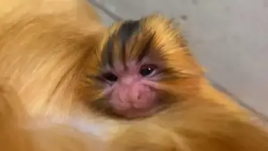 unknown.png