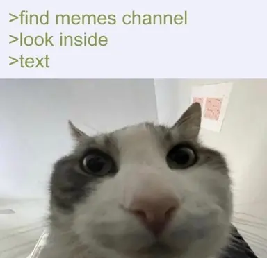 IMG_7906.png