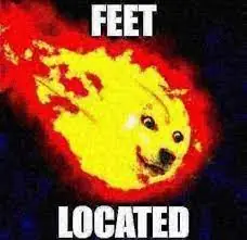 2Q.png