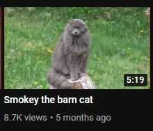 unknown.png