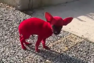 unknown.png