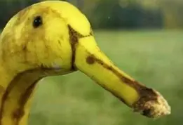 209408191_1467647750281988_2061573511859790123_n.png