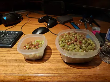20220714_160543.jpg