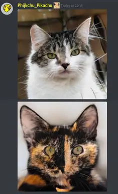 unknown.png