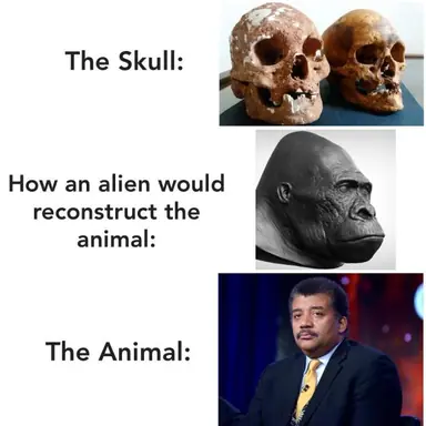 Model_Animal.png