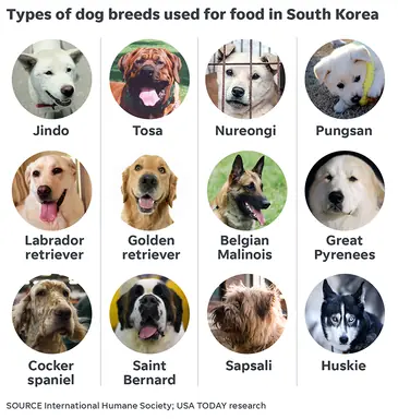 636874694870334856-022519-Dog-Breeds3-ONLINE-Online.png