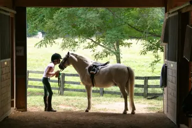 Girl_with_Horse_c2b4b054-6400-406e-9f10-d96a7682ef68-2.jpg