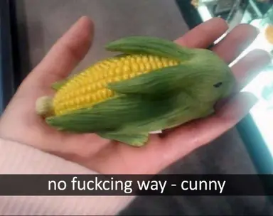 unknown-389.png