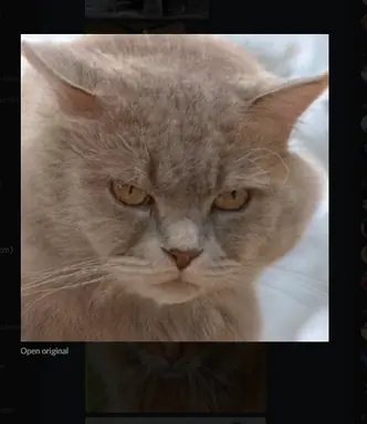 unknown.png