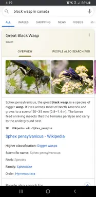 Screenshot_20200805-161923_Chrome.jpg