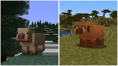 what-are-the-new-pig-variants-minecraft.png