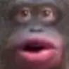 unknown.png