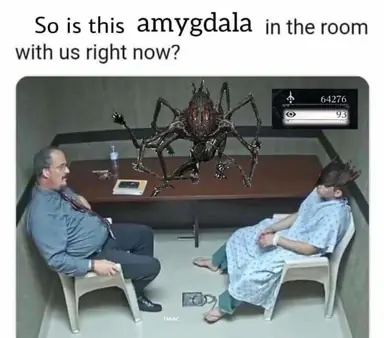 799409.png