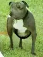 unknown.png