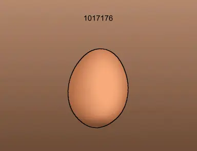 BwQKqc1.png