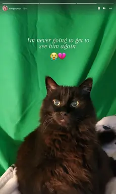 unknown.png