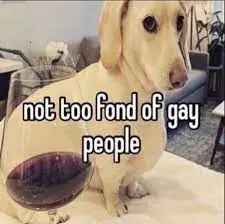 9k.png