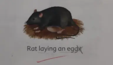 FFVFZRkVkAQxcud.jpg