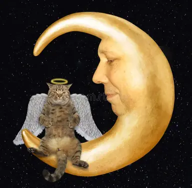 HFYJsFlaEAAvUdr.png