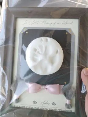 Joyces_Dead_Dog.jpg