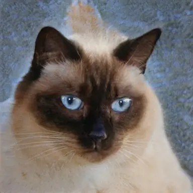 unknown.png