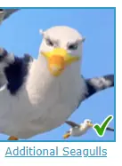 unknown.png