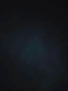 20240511_005558.jpg