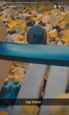 unknown.png