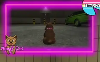 unknown.png